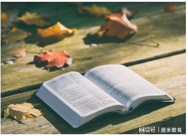 2025考研政治老师排名与深度解析：科学