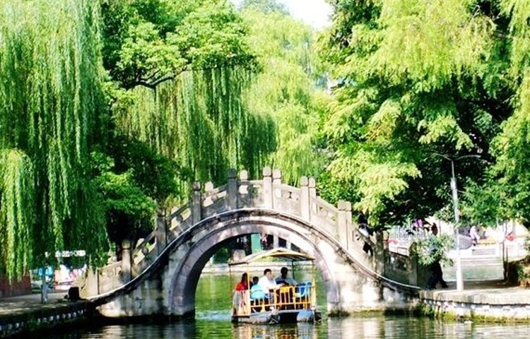 白云山的文章